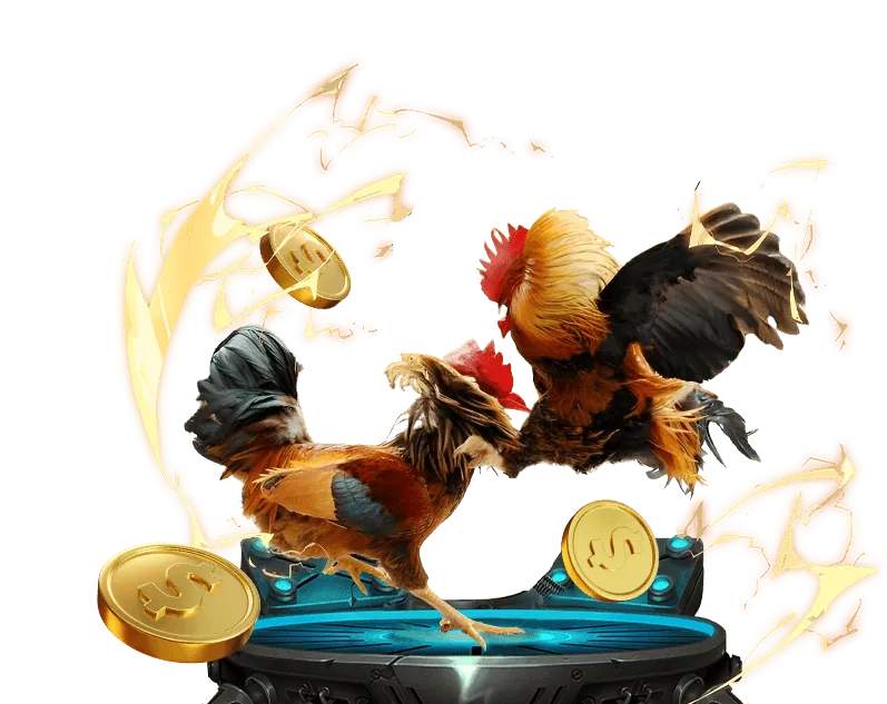 Giấy phép hoạt động hợp pháp của mn88 casino